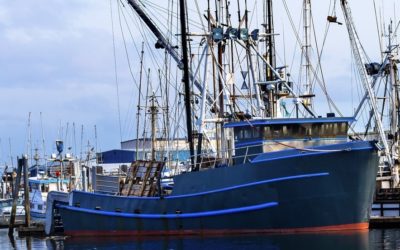 COVID-19 Update from Northern Wind Seafood