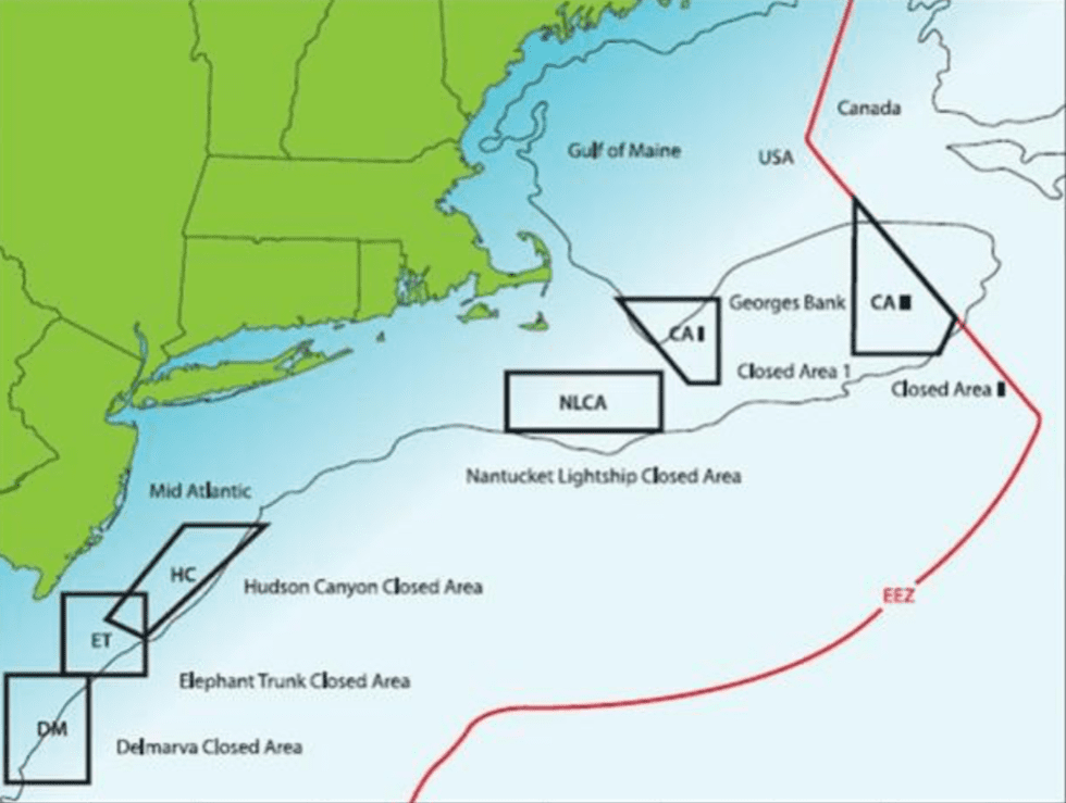 Scallops 101 Northern Wind Seafood
