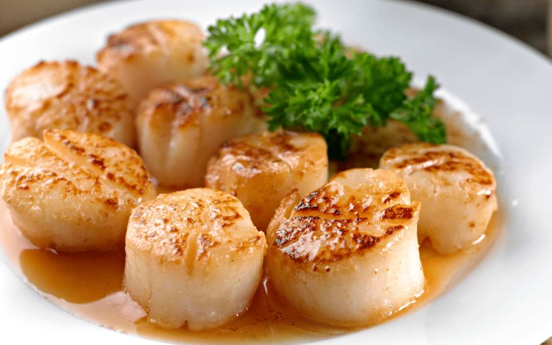 Northern Wind Launches Expanded Global Sourcing Program for Premium Scallop Imports